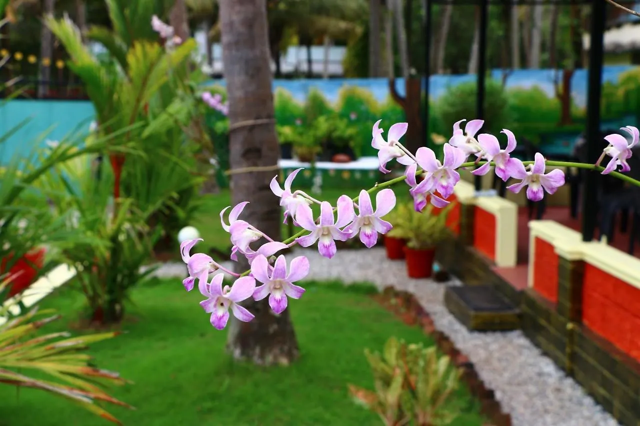 Divine Bliss Beach Resort Varkala