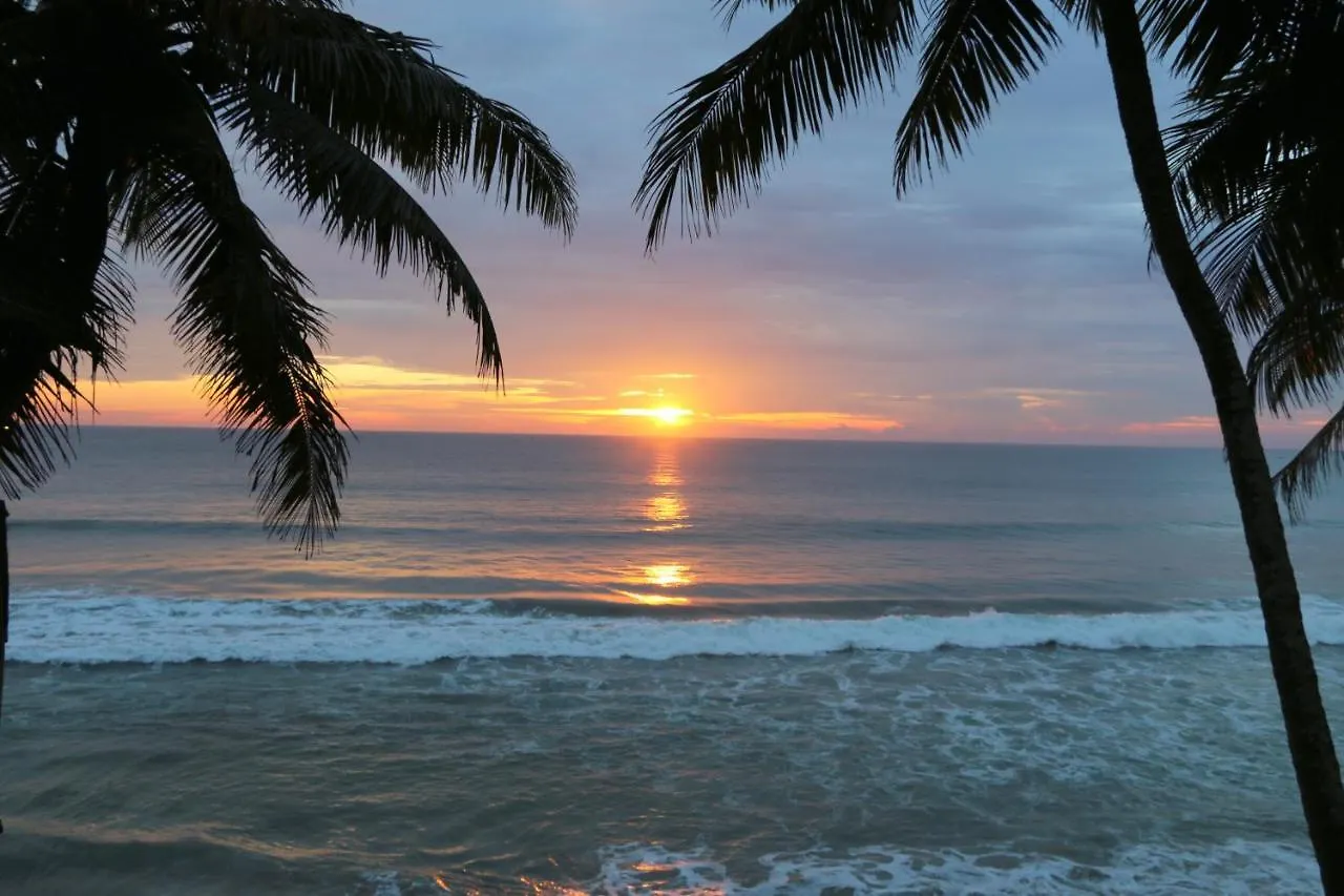 Divine Bliss Beach Resort Varkala