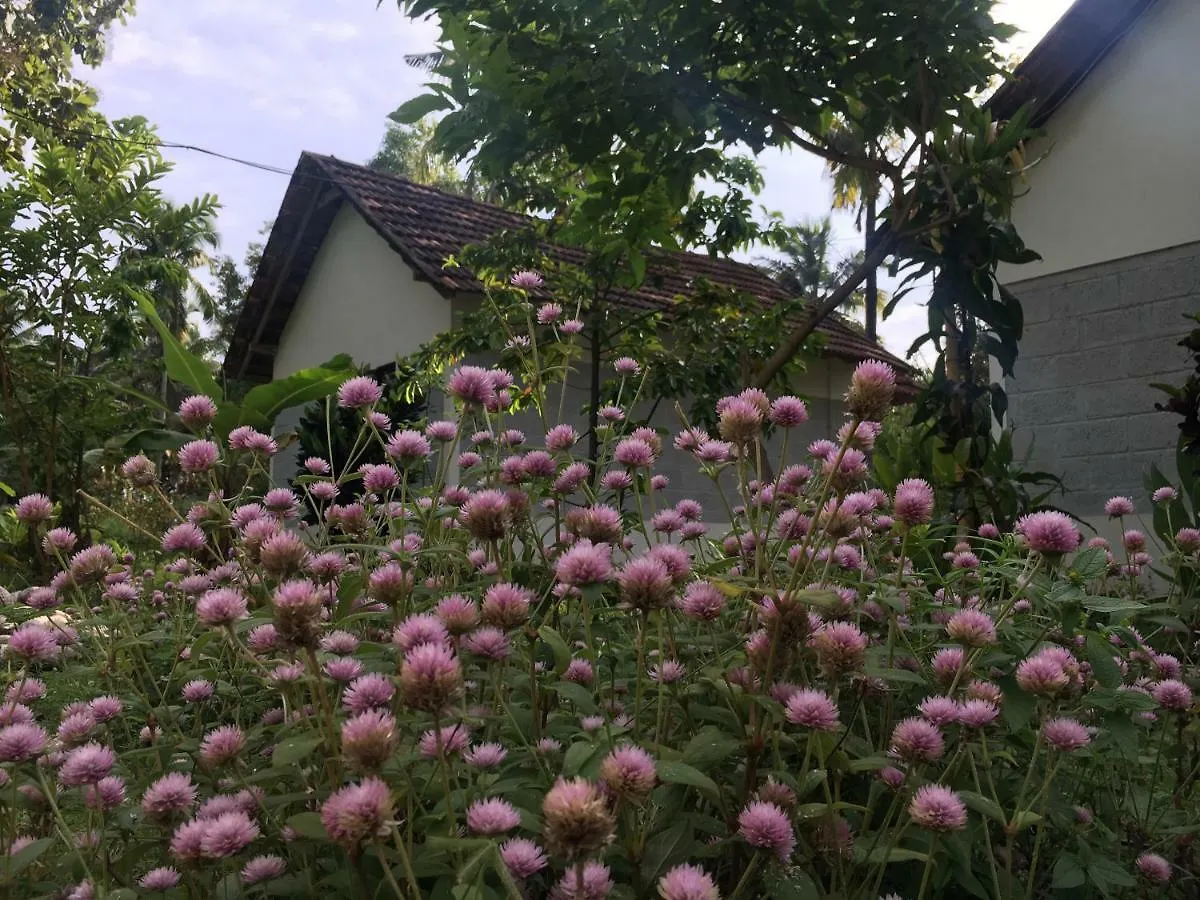 Divine Bliss Beach Resort Varkala